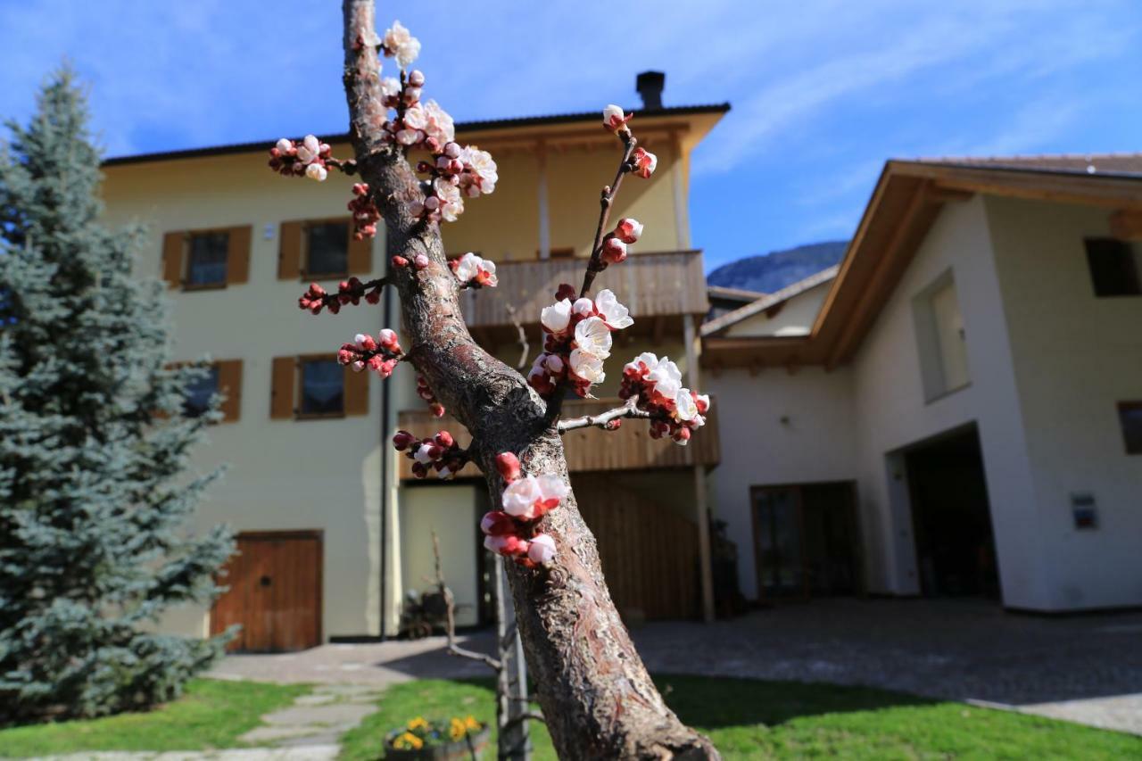 Ferienhof Weingenuss Apartment Cortina Sulla Strada del Vino Exterior foto